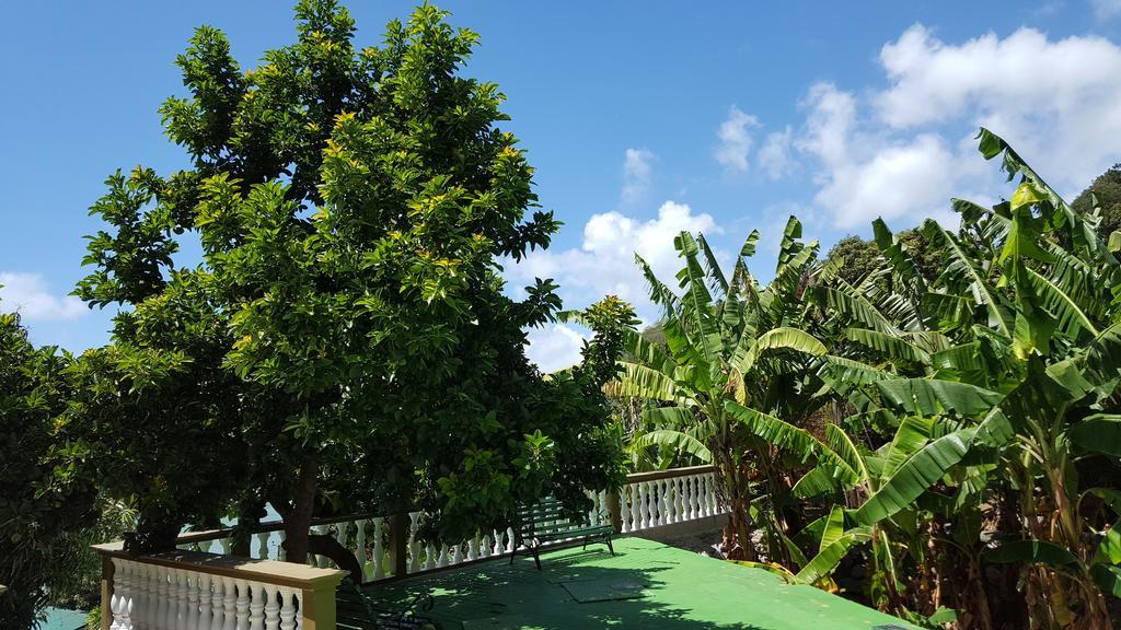 Hibiscus House Seychelles Self Catering Apartamento Victoria Exterior foto